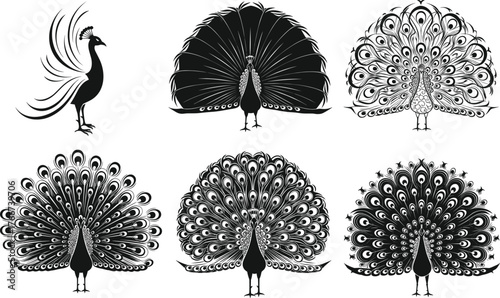 Stylized peacock illustrations, black and white vector art, elegant tail feathers, frontal view, decorative design, nature bird silhouette set