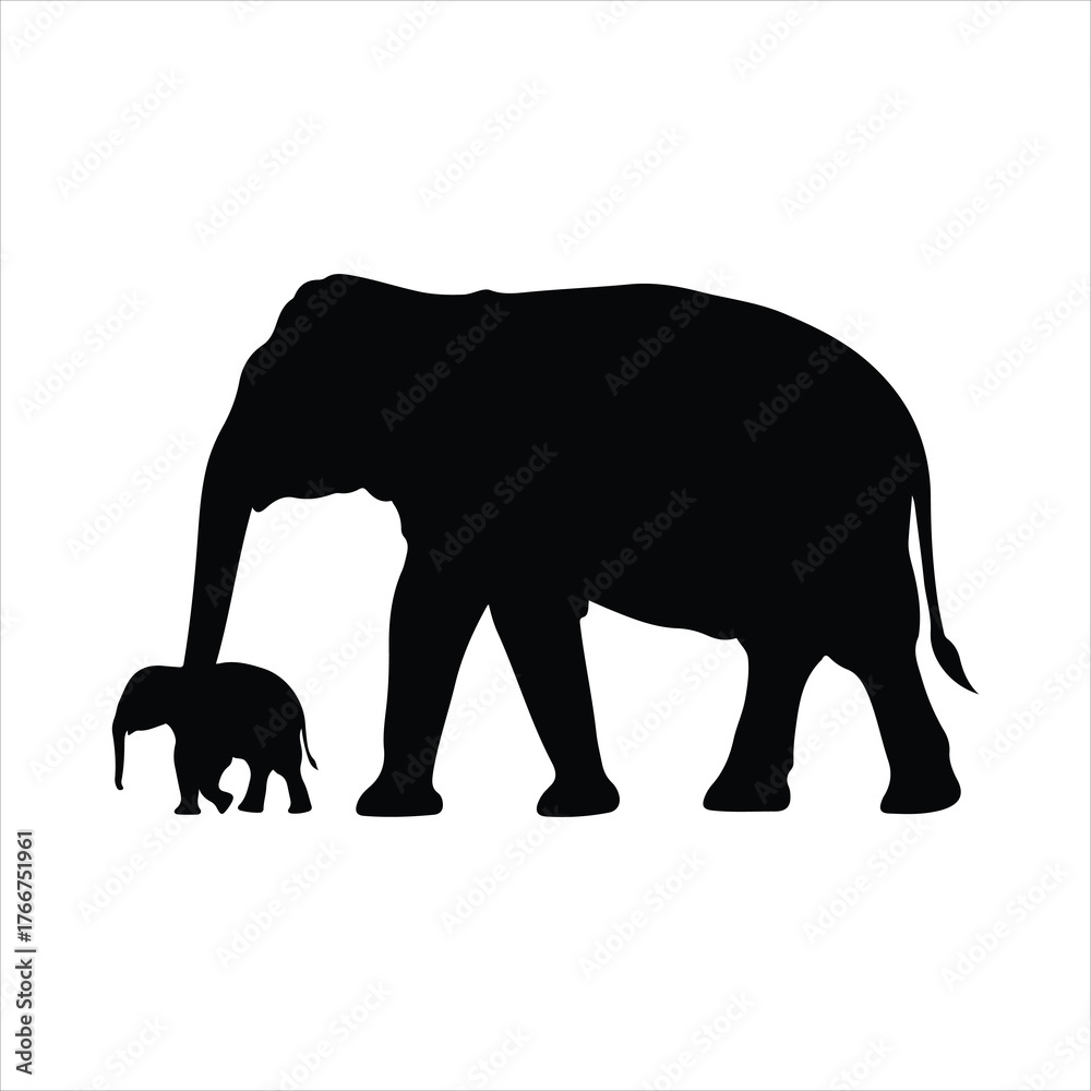 Fototapeta premium Majestic silhouette of mother and baby elephant walking together in harmony