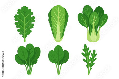 Assortment of fresh green leafy vegetables and salad greens icons