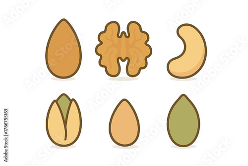 Collection of healthy nuts and seeds: almond, walnut, cashew, and pistachio