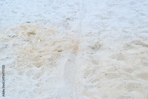 Cuadro en lienzo Sand is beige and white, and patterns are seen due to different textures