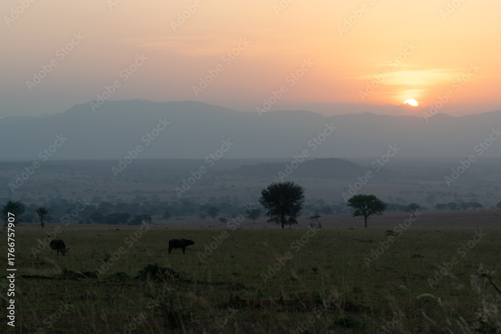 Obraz premium Nature’s Canvas: Fiery Sunset over the Wilderness of Uganda