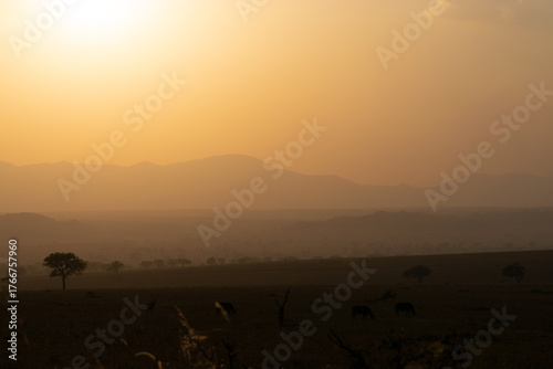Golden Sunset over the Endless Plains of Kidepo Valley