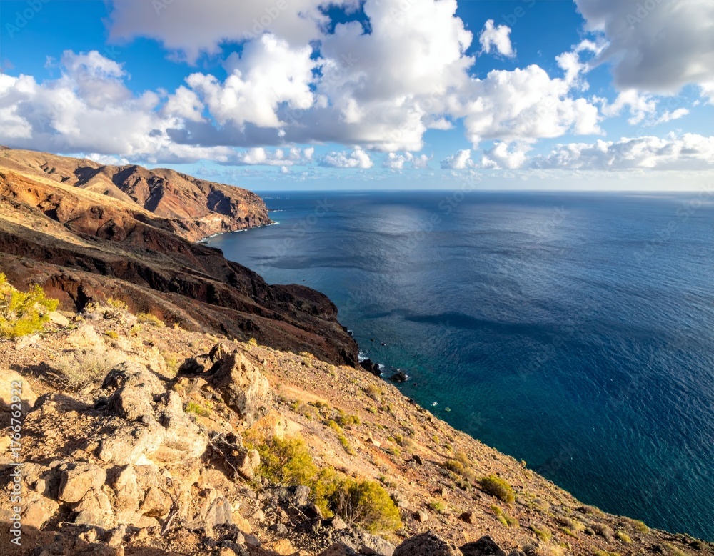 Fototapeta premium Desert landscape converges with ocean along a rugged coastal area