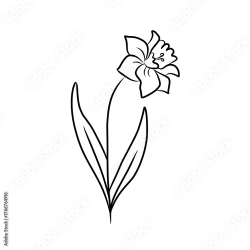 Hand draw flower  vector , doodle flower vector