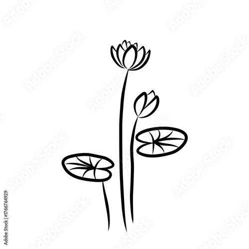Hand draw flower  vector , doodle flower vector