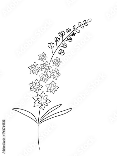 Hand draw flower  vector , doodle flower vector