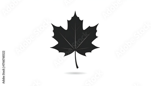 Silhouette of a maple leaf, black on white background, with a shadow