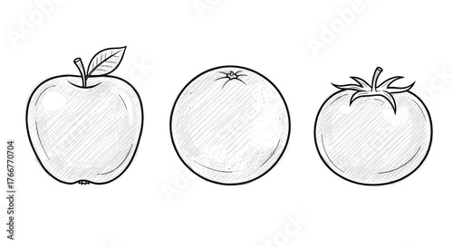 Sketched apple, orange, and tomato on white background