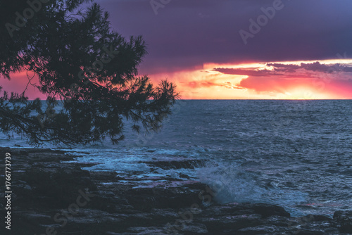 Fototapeta Naklejka Na Ścianę i Meble -  sunset over the sea in istria, croatia, with waves and dramatic clouds and a tree in the foreground
