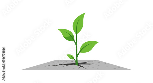 Small green plant with three leaves emerges from crack in gray surface, symbolizing growth, resilience, and new beginnings in challenging environment