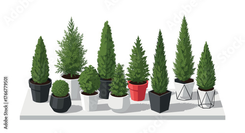 Modern potted evergreen trees in geometric planters on white shelf