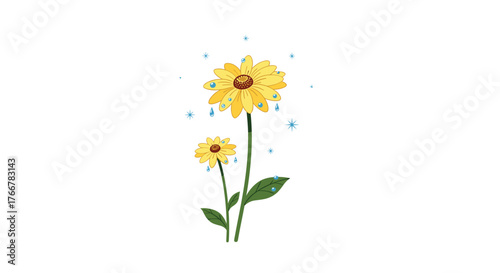 Two yellow daisies with raindrops and sparkling blue light effects on a white background.