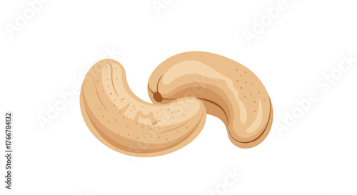 Two tan-colored cashew nuts are shown in a close-up isolated on a white background.