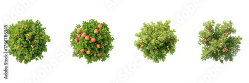 Peach Tree Top View Set. Orchard Planning And Landscaping Collection Isolated On Transparent Background