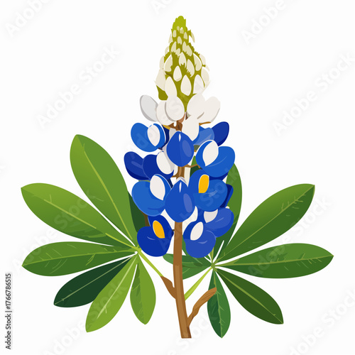 Bluebonnet flower with green leaves and transparent background