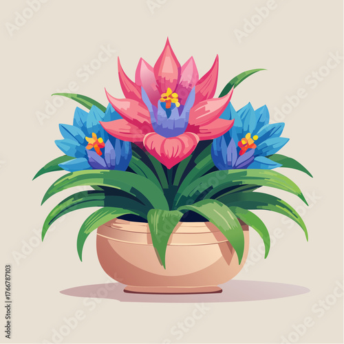 Potted bromeliad flowers in bloom