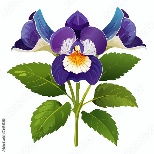 Purple pansy flower with green leaves with transparent background