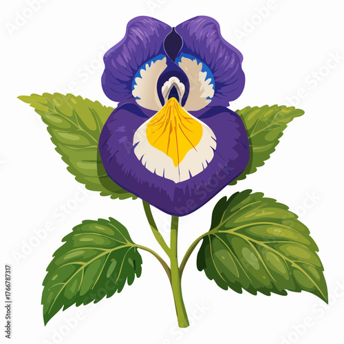 Purple pansy flower with green leaves with transparent background