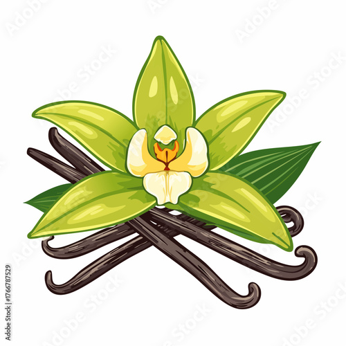 Vanilla orchid and pods with transparent background