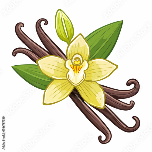Vanilla bean flower with pods and leaves