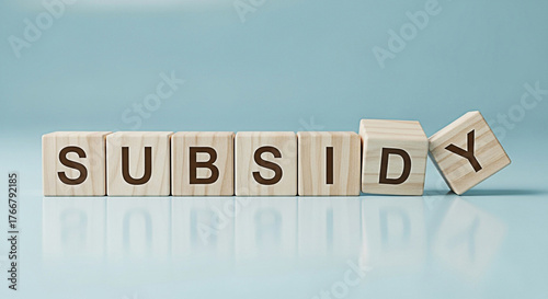 Wooden blocks spelling subsidy on a light blue background represent financial assistance and government support for various industries and sectors