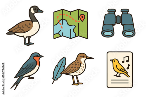 Collection of birdwatching and ornithology icons with wild birds, binoculars, map, and feather