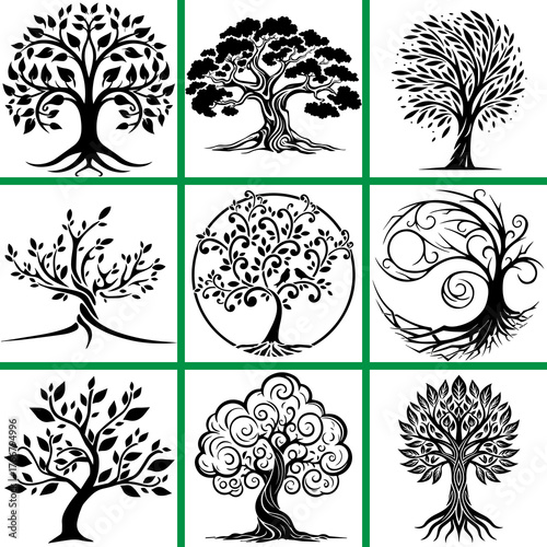 Pine tree silhouettes. Evergreen forest firs and spruces black shapes, wild nature trees templates. Vector illustration woodland trees set on white background