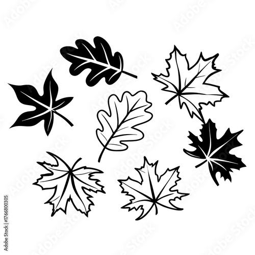 Collection of detailed line art autumn leaves (maple, oak) scattered on a pristine white background