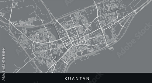 Detailed city map of kuantan in monochrome linear style