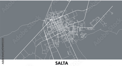 Minimalistic map of salta city showing detailed streets and layout