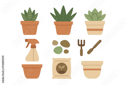 Potted succulent plants and essential gardening tools set for indoor hobby or home decor