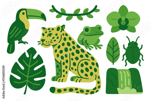 Tropical jungle animals and plants collection featuring jaguar toucan frog and foliage