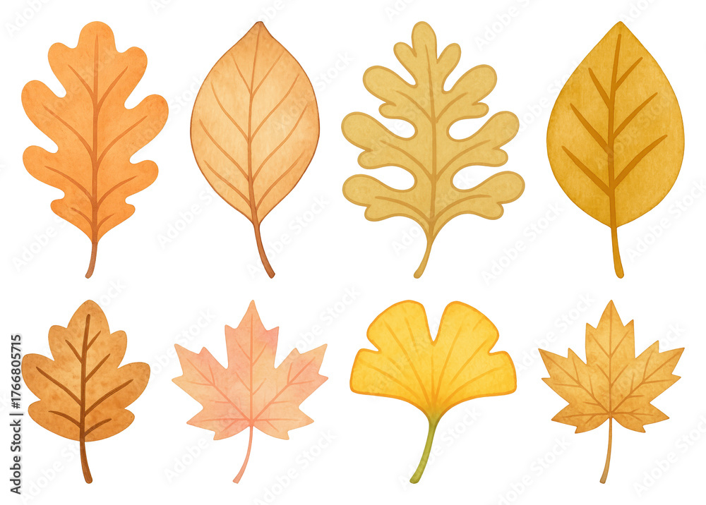 Fototapeta premium PNG Colorful autumn leaves illustration, element set on transparent background