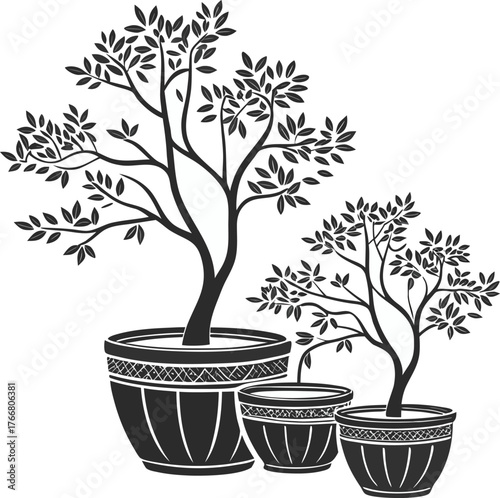 bonsai tree isolated on white