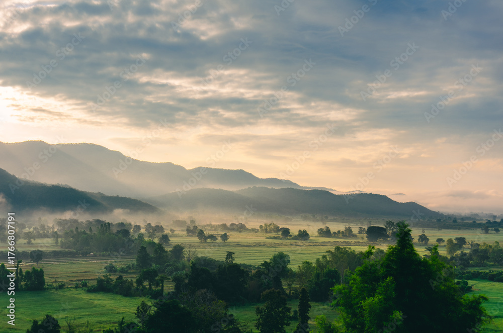 Obraz premium Beautiful view of morning light hitting fog, mountains, trees and green rice fields in the countryside in Chiang Rai. Northern Thailand.