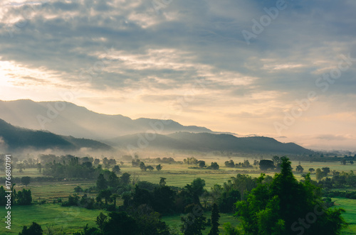 Beautiful view of morning light hitting fog, mountains, trees and green rice fields in the countryside in Chiang Rai. Northern Thailand.