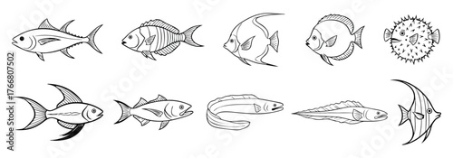 Collection of hand drawn artistic line art illustrations of various tropical fish and marine life