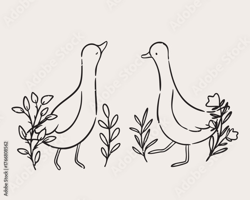 Two cute geese with floral details line art illustration. Simple minimal drawing for prints.
