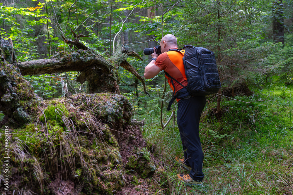 © Xalanx - Photographer shooting in Apuseni forest