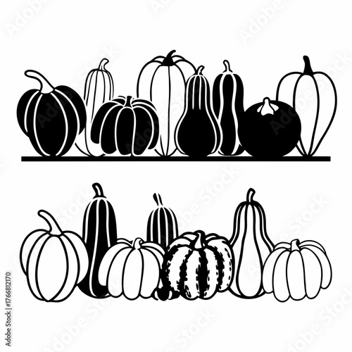 Line art of a variety of pumpkins and gourds in different shapes and sizes, arranged in a row, white background