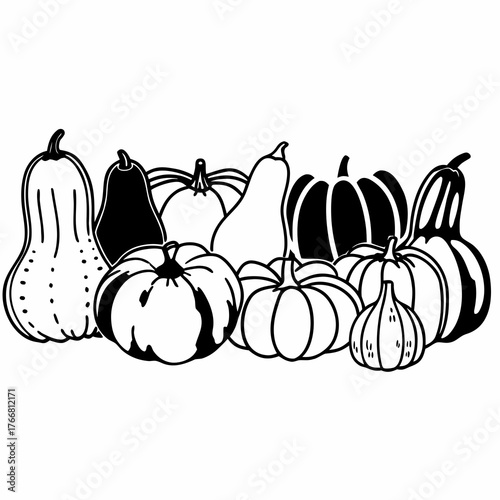 Line art of a variety of pumpkins and gourds in different shapes and sizes, arranged in a row, white background