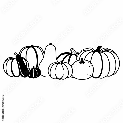 Line art of a variety of pumpkins and gourds in different shapes and sizes, arranged in a row, white background