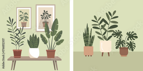 Indoor House Plants Arrangement Vector Illustration in Modern Minimal Style