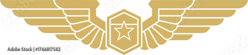 Vector art of military aviation badge or pilot wings with a star on a green background