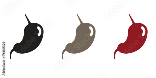 Human Stomach Organ and Digestion Icon Set