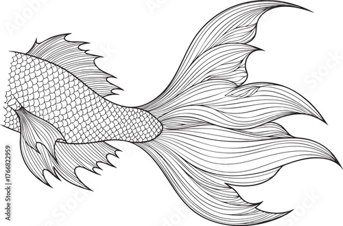 Intricate line drawing of a fantastical fish tail with elaborate flowing fins and detailed scales.
