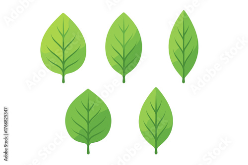 Five vibrant green leaves symbolizing nature ecology and organic growth isolated on white