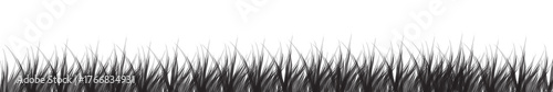 Black and white grass silhouette on white background, ideal for nature design, landscape illustration, eco-themed branding, posters, web design, and environmental graphic compositions.