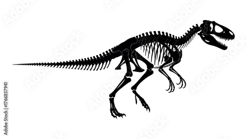 Silhouette of a dinosaur skeleton on a white background 